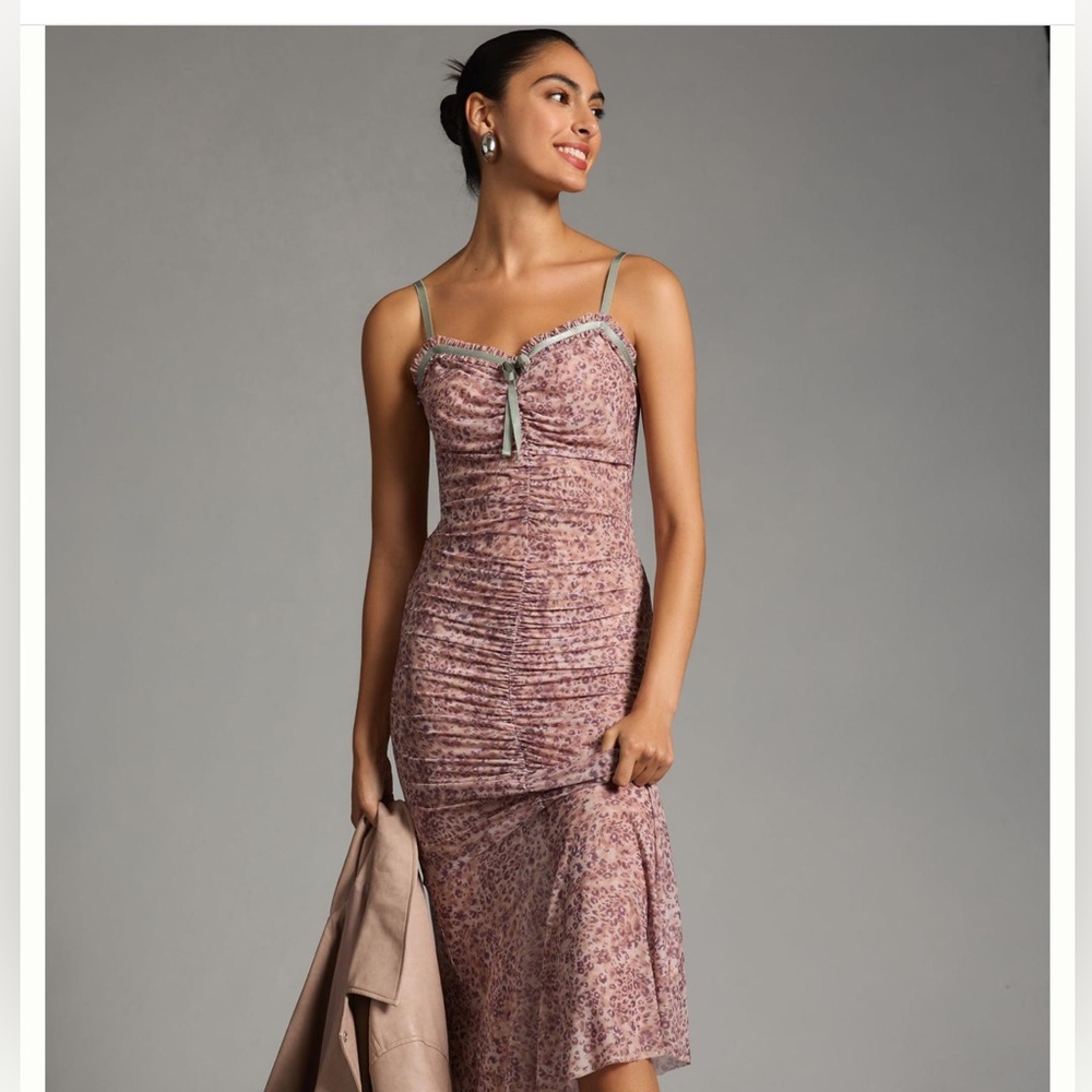 NWT By Anthropologie Sheer Mesh Dress - Size XXS- Pink Combo - Picture 5 of 10